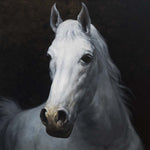 White Horse Glass Kitchen Splashback