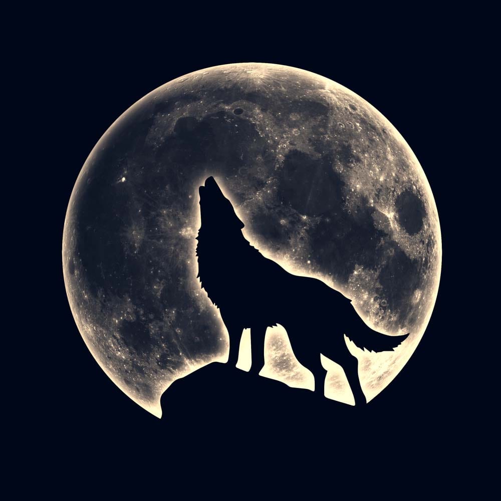 Wolf Under the Moon Glass Kitchen Splashback