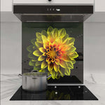 Yellow Dahlia Glass Kitchen Splashback